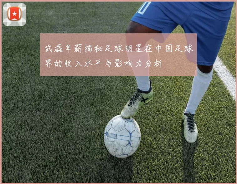 武磊年薪揭秘足球明星在中国足球界的收入水平与影响力分析
