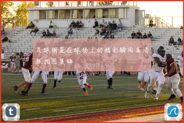 足球明星在球场上的精彩瞬间高清抓拍图集锦