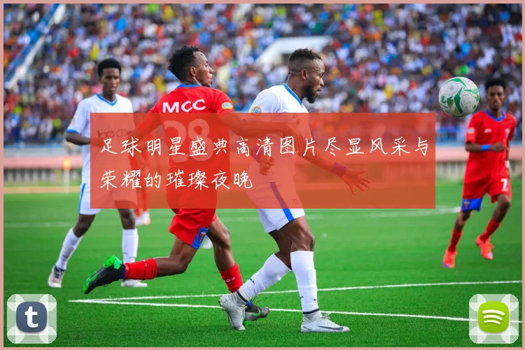 足球明星盛典高清图片尽显风采与荣耀的璀璨夜晚