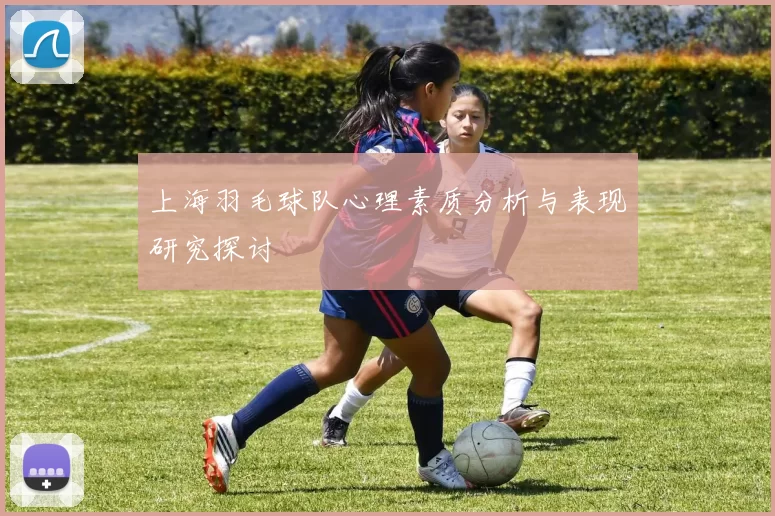 上海羽毛球队心理素质分析与表现研究探讨