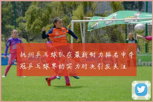 杭州乒乓球队在最新耐力排名中夺冠乒乓球界的实力对决引发关注