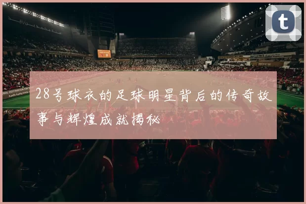 28号球衣的足球明星背后的传奇故事与辉煌成就揭秘