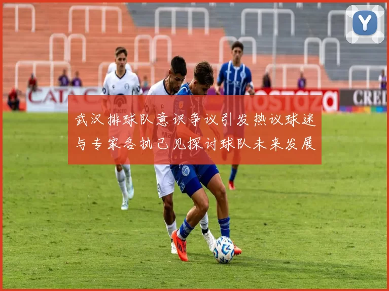 武汉排球队意识争议引发热议球迷与专家各执己见探讨球队未来发展方向