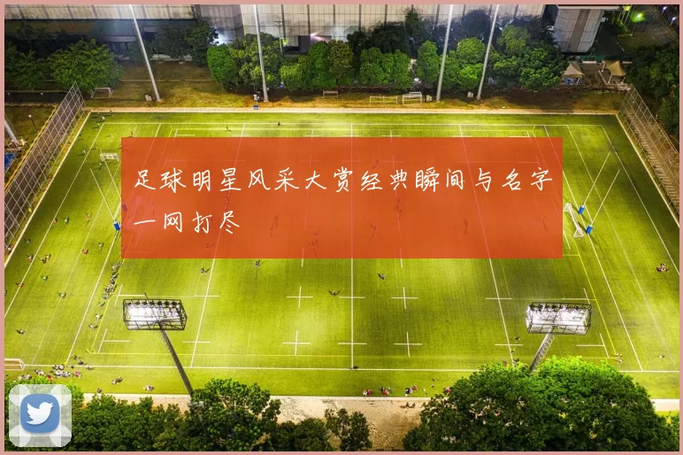 足球明星风采大赏经典瞬间与名字一网打尽