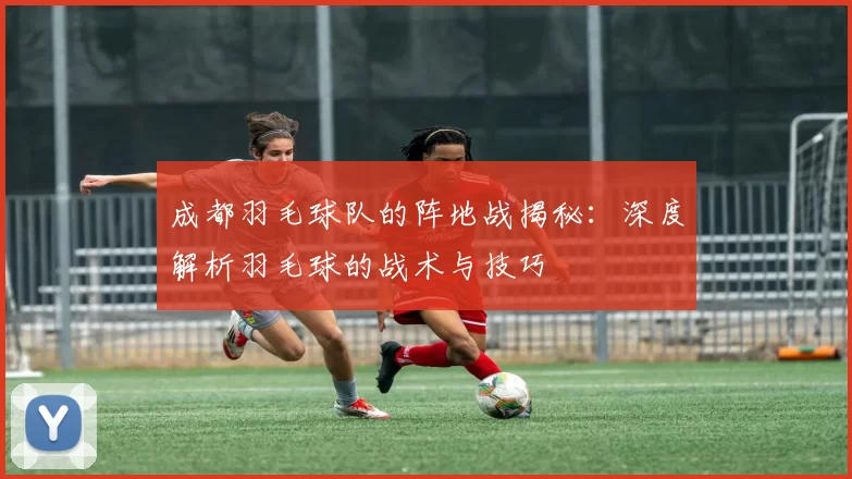 成都羽毛球队的阵地战揭秘：深度解析羽毛球的战术与技巧