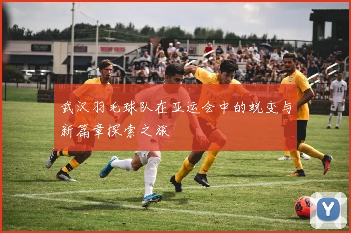 武汉羽毛球队在亚运会中的蜕变与新篇章探索之旅