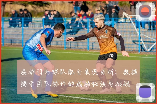 成都羽毛球队配合表现分析：数据揭示团队协作的成功秘诀与挑战