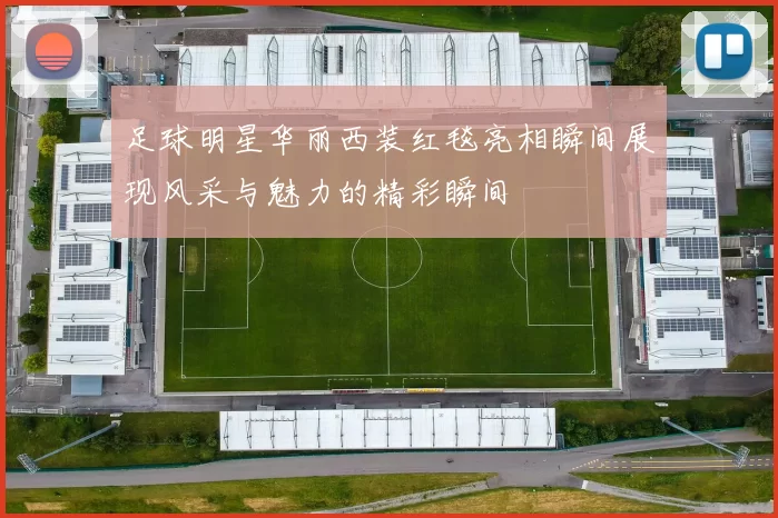 足球明星华丽西装红毯亮相瞬间展现风采与魅力的精彩瞬间