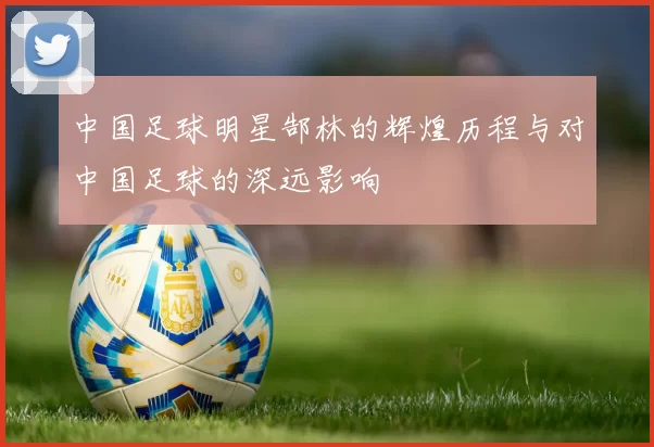 中国足球明星郜林的辉煌历程与对中国足球的深远影响