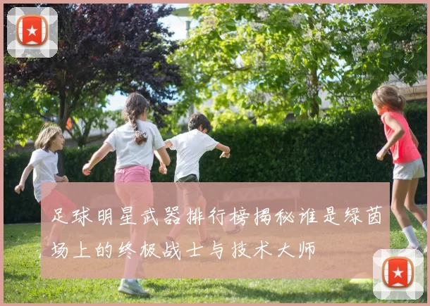 足球明星武器排行榜揭秘谁是绿茵场上的终极战士与技术大师