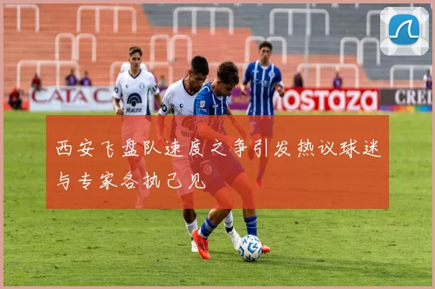西安飞盘队速度之争引发热议球迷与专家各执己见