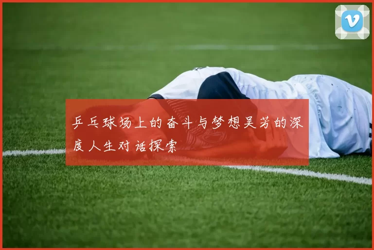 乒乓球场上的奋斗与梦想吴芳的深度人生对话探索