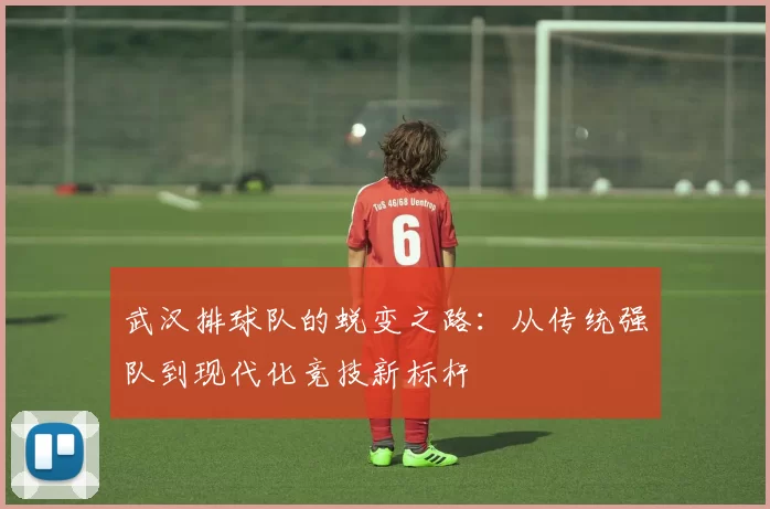 武汉排球队的蜕变之路：从传统强队到现代化竞技新标杆