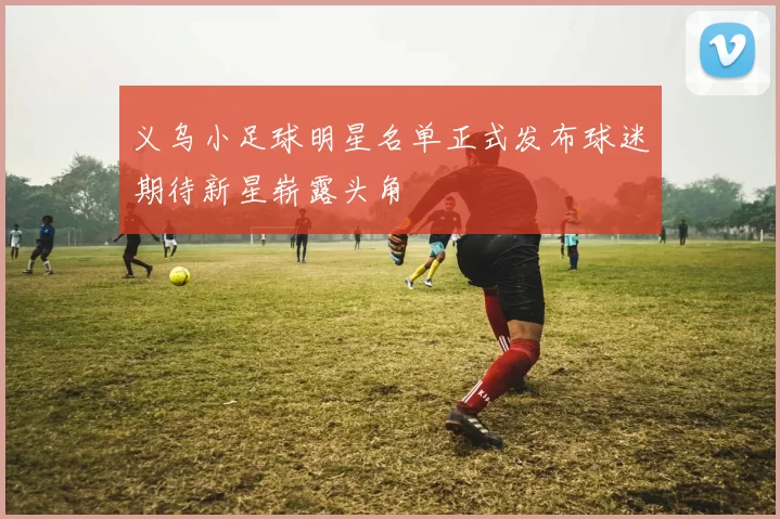 义乌小足球明星名单正式发布球迷期待新星崭露头角