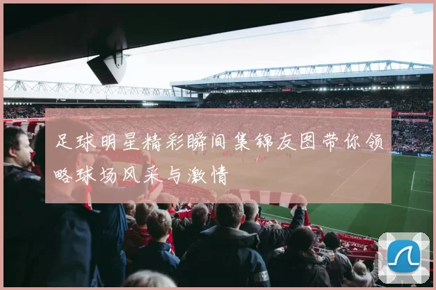 足球明星精彩瞬间集锦友图带你领略球场风采与激情
