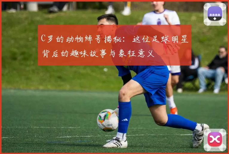 C罗的动物绰号揭秘：这位足球明星背后的趣味故事与象征意义