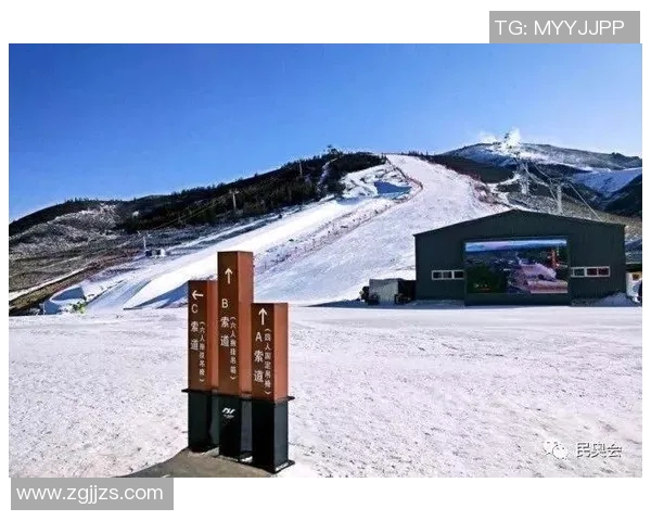 杨伟独家分享极限运动心得与技巧助你突破自我极限挑战极限运动的乐趣与安全性